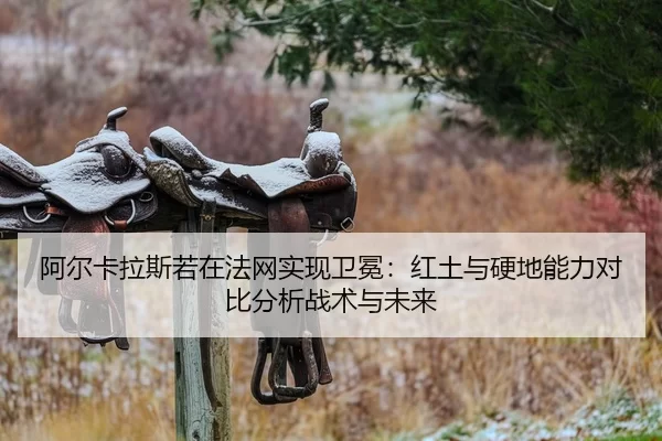 a-er-ka-la-si-ruo-zai-fa-wang-shi-xian-wei-mian-hong-tu-yu-ying-di-neng-li-dui-bi-fen-xi-zhan-shu-yu-wei-lai-2-622.jpg