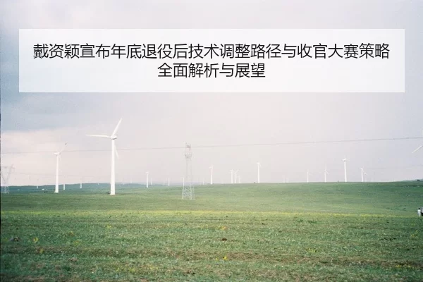 戴资颖宣布年底退役后技术调整路径与收官大赛策略全面解析与展望