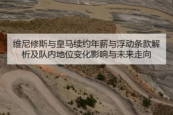 维尼修斯与皇马续约年薪与浮动条款解析及队内地位变化影响与未来走向