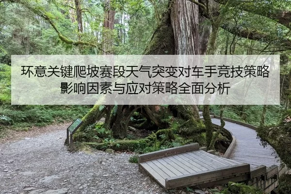 huan-yi-guan-jian-pa-po-sai-duan-tian-qi-tu-bian-dui-che-shou-jing-ji-ce-lve-ying-xiang-yin-su-yu-ying-dui-ce-lve-quan-2-583.jpg