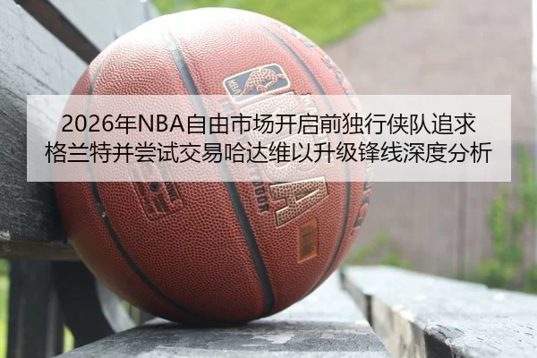 2026年NBA自由市场开启前独行侠队追求格兰特并尝试交易哈达维以升级锋线深度分析