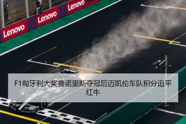 F1匈牙利大奖赛诺里斯夺冠后迈凯伦车队积分追平红牛